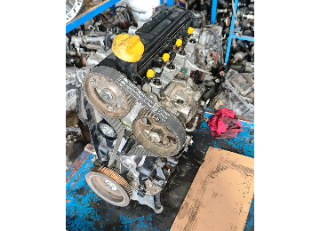 2001-2008 Clıo 65 lik revizyonlu motor