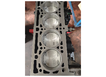 Fluence K4M 1.6 Motor