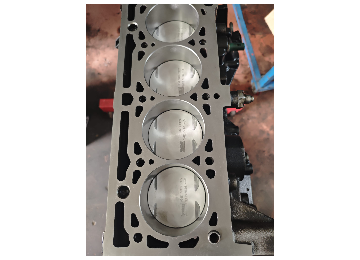 Scenic K4M 1.6 Motor